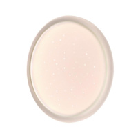 Настенно-потолочный светильник Sonex Pale Jolly 7774/DLN