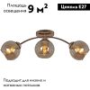 Потолочная люстра Reluce 01538-0.3-03 FGD