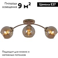 Потолочная люстра Reluce 01538-0.3-03 FGD