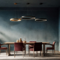 Подвесной светильник Denkirs Raydia DK6272-BK