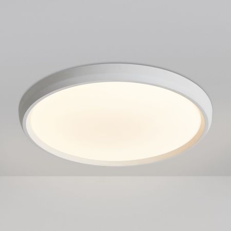 Потолочный светильник Freya Obelle FR6211CL-L24W