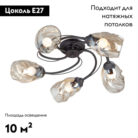 Потолочная люстра Vitaluce V4927-1/5PL