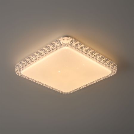 Потолочный светильник Freya Bissar FR6227CL-L36W