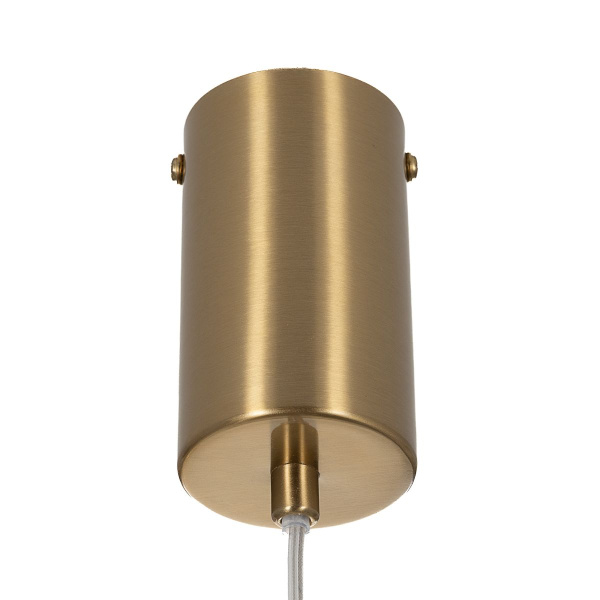 Подвесной светильник Citilux Fernet CL254010