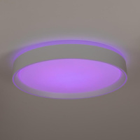 Потолочный светильник Citilux Boss CL751350G