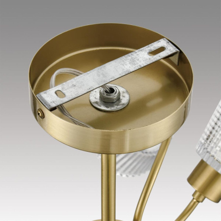 Люстра на штанге Lumion Comfi Imana 8154/8C