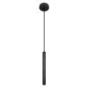 Подвесной светильник Loft IT Everest 10583D Black