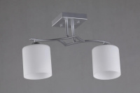 Накладной светильник Pisticci OML-55307-02