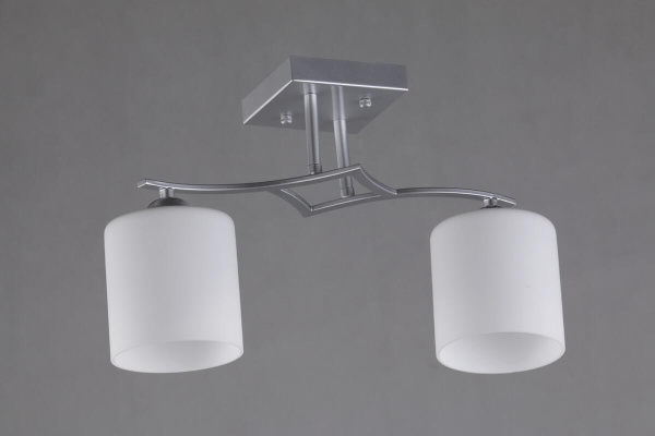 Накладной светильник Pisticci OML-55307-02