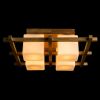 Потолочная люстра Arte Lamp 95 A8252PL-4BR