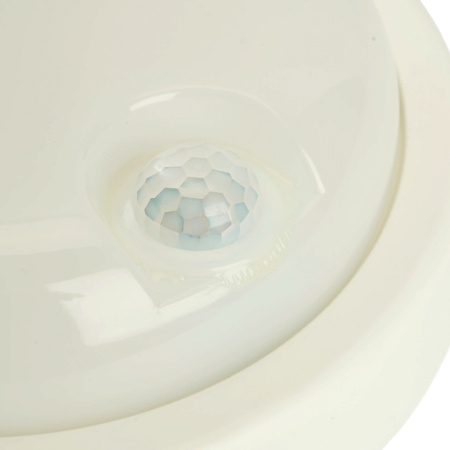 Настенно-потолочный светильник Feron AL3006 48994