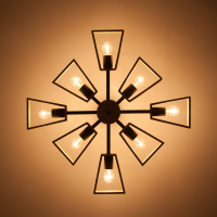 Потолочная люстра Eurosvet Klark 70056/8 черный