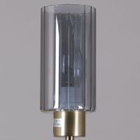 Люстра на штанге Reluce 02037-0.3-08 COP