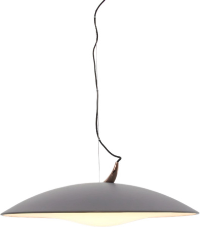 Подвесной светильник Mizi'en Candor MZ46212G