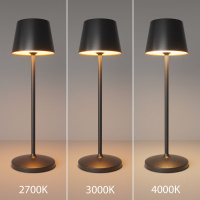 Настольная лампа с аккумулятором Maytoni Nook MOD494RL-L1BK