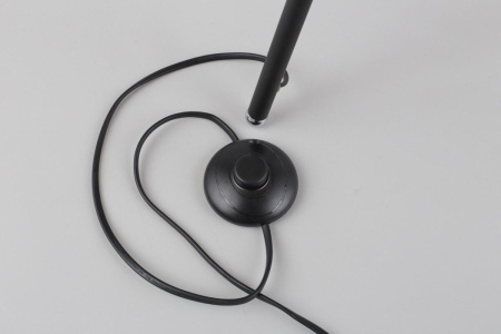 Торшер Fascia OML-62905-03