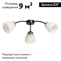 Потолочная люстра De Markt Нежность 676016903