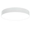 Потолочный светильник Maytoni Technical Zon C032CL-L48W3K
