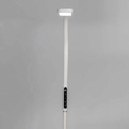 Торшер Citilux Марк CL804020