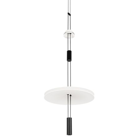 Подвесной светильник Loft IT Flamingo 10598B