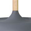 Подвесной светильник Arte Lamp Kayla A7102SP-1GY