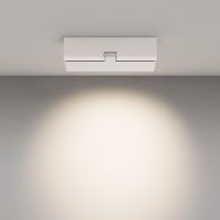 Настенно-потолочный светильник Maytoni Points rot C136CL-12W4K-W