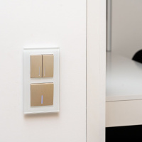 Выключатель двухклавишный с подсветкой шампань рифленый WL10-SW-2G-LED Werkel