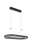 Подвесная люстра Zortes Duble-R ZRS.30505.92