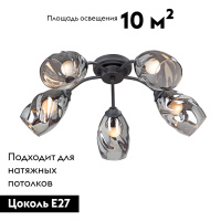 Потолочная люстра Vitaluce V4936-1/5PL