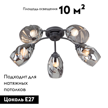 Потолочная люстра Vitaluce V4936-1/5PL