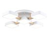 Потолочная люстра Ambrella Light Linetech Comfort FL4881