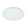 Потолочный светильник Escada 10213/SG LED