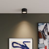 Потолочный светодиодный светильник Elektrostandard 25123/Led Banti 13Вт 4200K a058847 черный