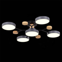 Люстра на штанге Evoluce Faema SLE6006-702-05