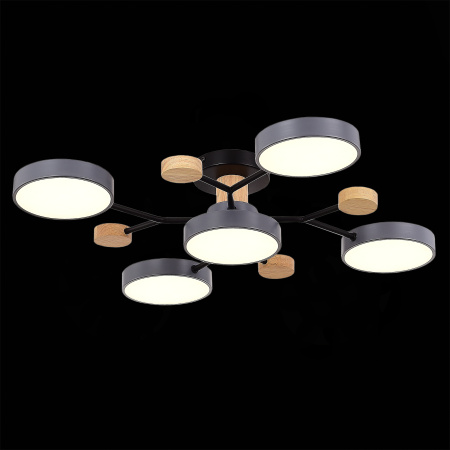 Люстра на штанге Evoluce Faema SLE6006-702-05