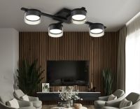 Потолочный светильник Ambrella Light Comfort FL51665
