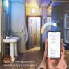 Накладной светодиодный светильник Gauss Smart Home 2050112