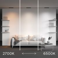 Трековый магнитный светильник Maytoni Technical Basis Radity TR080-4-10WTW-B