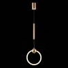 Подвесной светодиодный светильник ST Luce Giera SL1578.203.01