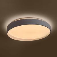 Потолочный светильник Freya Pass FR6222CL-L84W