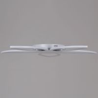Потолочная люстра Reluce 09877-0.3-05 WH