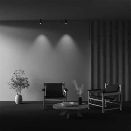 Накладной светильник Maytoni Focus Led C056CL-L12W4K-W-BS