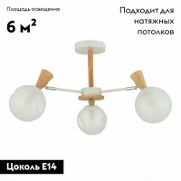 Потолочная люстра Evoluce Catania SLE220702-03
