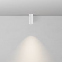 Потолочный светильник Maytoni Focus C010CL-01W-N