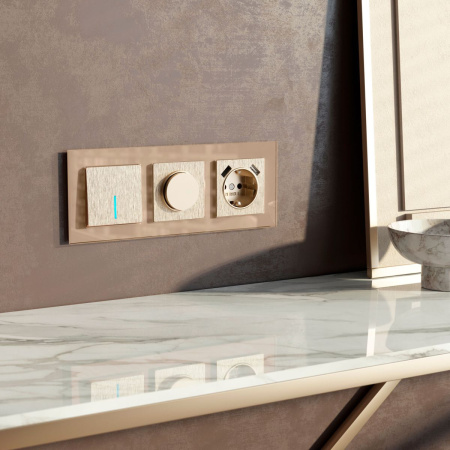 Диммер Werkel W1142010 4690389213120 a069603