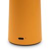 Настольная лампа Freya Mushroom FR6109TL-L4OR