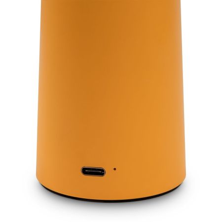 Настольная лампа Freya Mushroom FR6109TL-L4OR