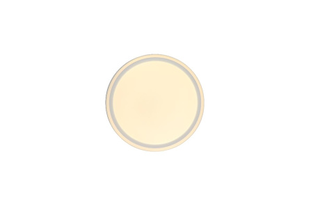 Потолочный светильник Zortes Bella ZRS.1200.04