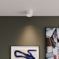 Потолочный светодиодный светильник Elektrostandard 25123/Led Banti 13Вт 4200K a058846 белый