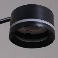 Потолочная люстра Reluce 19490-0.4-5+5 Black